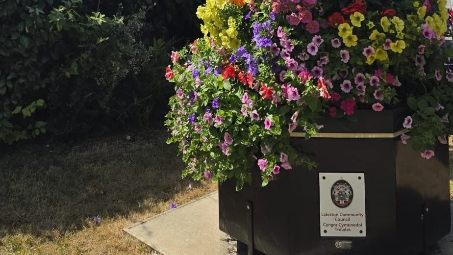 Council floral planter in full bloom with new Laleston Community Council sign Council floral planter in full bloom with new Laleston Community Council sign